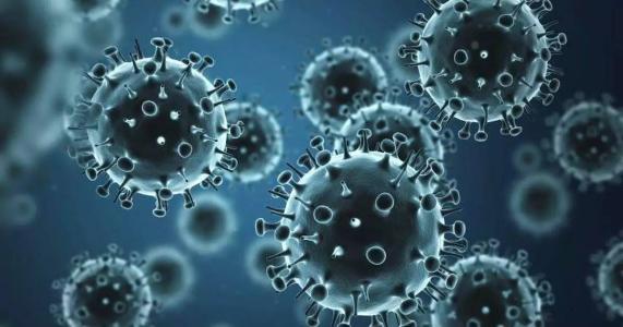 研究揭示了减缓流感病毒传播的新治疗目标