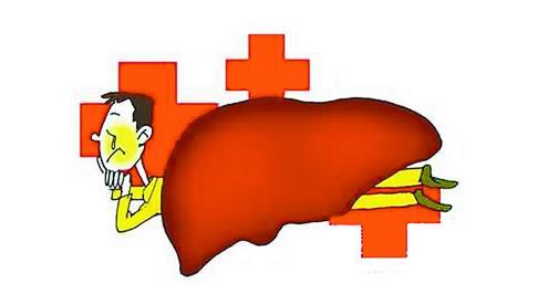 Sofosbuvir可改善慢性丙型肝炎患者的肾脏安全性