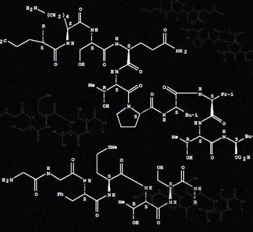 一种经济有效的合成化学结构单元的方法