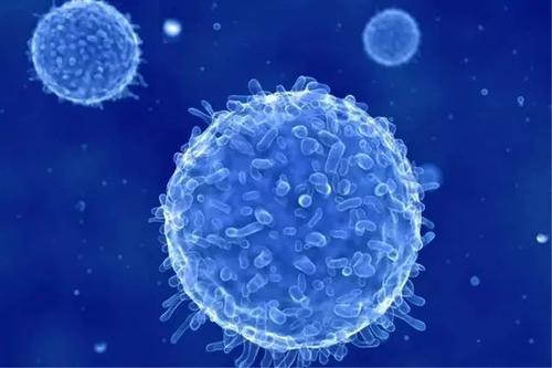 个体化T细胞疗法显示出针对HBV相关HCC的临床有效性的迹象