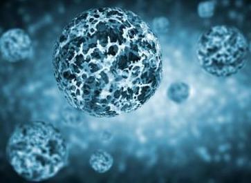 遗传筛选鉴定保护细胞免受寨卡病毒感染的基因