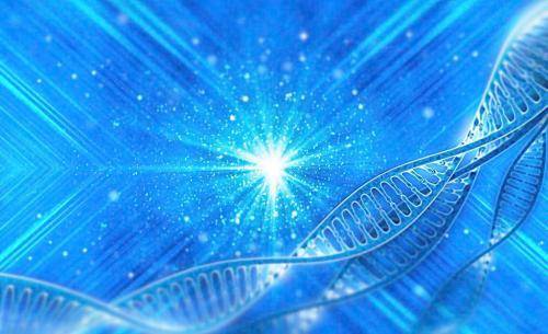 生物化学家将基因组历史拼凑在一起