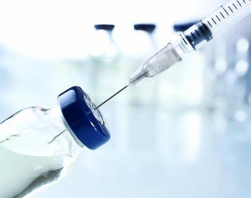 疱疹病毒突变体指向新的疫苗策略