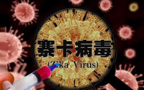 试验显示灭活的寨卡病毒疫苗是安全的和免疫原性的