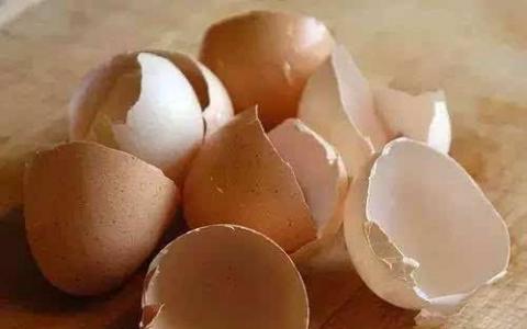 蛋壳颗粒增强水凝胶可以帮助成长和修复骨骼