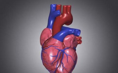 定期运动可以逆转心脏衰老造成的伤害 寻找新的研究
