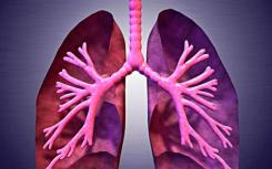 肺部发挥以前在血液生产中的未知作用