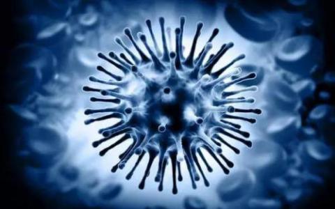 研究人员在开发针对流感病毒的全球疫苗方面迈出了一步之遥
