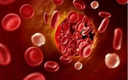 血红蛋白过低会引起的疾病就是贫血 因为大部分血小板减少的原因