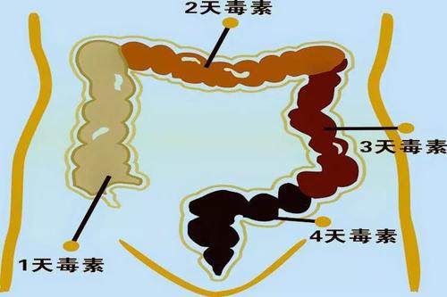 引起腹泻的细菌适合在医院传播