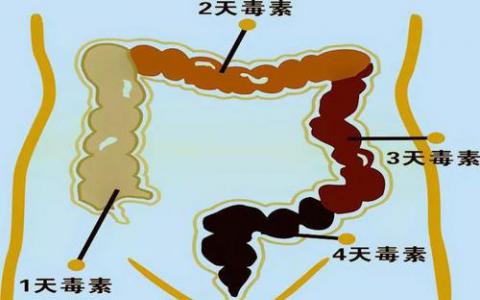 引起腹泻的细菌适合在医院传播