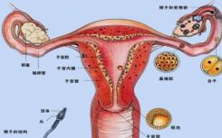 女性出现生殖道肿瘤 会直接的严重危害到自己的生殖器官