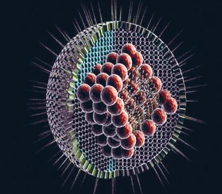 小鼠疱疹病毒研究导致发现潜在的广谱抗病毒药物