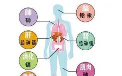 人体有五大保健特区 分别在背部 脊柱 前胸 腹脐和耳部