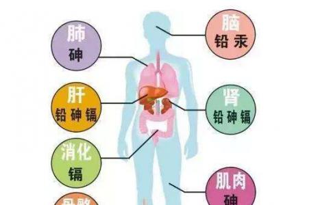 人体有五大保健特区 分别在背部 脊柱 前胸 腹脐和耳部