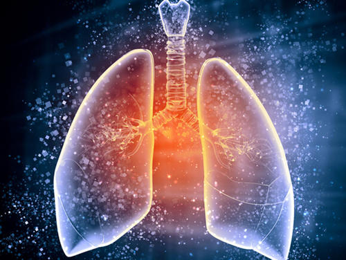 科学家们发现了肺纤维化的治疗目标