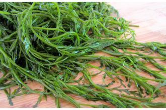食用螺旋藻对身体都有帮助 因为螺旋藻的营养价值非常的高