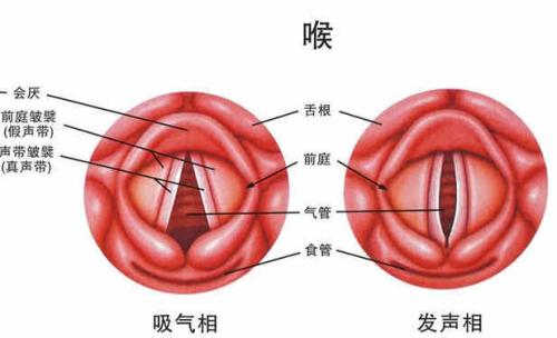 慢性咽炎是我们生活中最常见的疾病