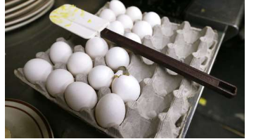 生牛奶中的胚芽 家禽现在名列食物中毒名单