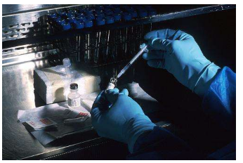研究表明 疫苗可以治疗大流行性流感