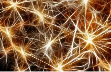 对运动神经元死亡机制的新见解可能是迈向ALS治疗的一步