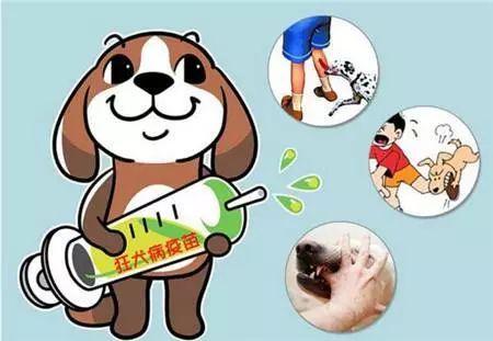 研究警告麻疹流行和未接种疫苗的深远影响
