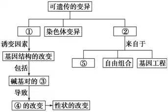 遗传变异将左手与脑结构和精神疾病联系起来