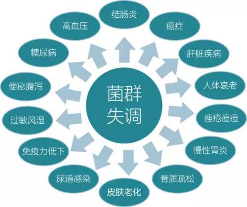 发表了微生物谱以支持肠道研究领域的发展