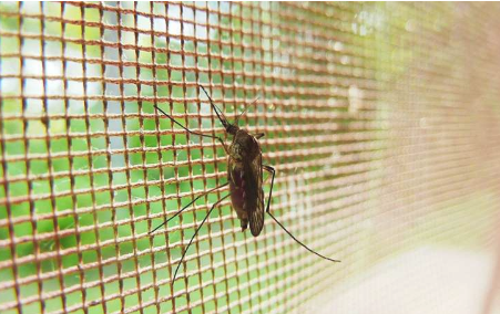 临床上无声的复发性疟疾仍可能构成威胁