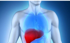 HCV +肝硬化中与SVR相关的非肝脏相关危重事件
