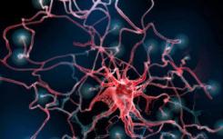脑肿瘤劫持健康的神经元以使其生长