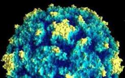 新测试可以诊断来自热带地区的416种病毒