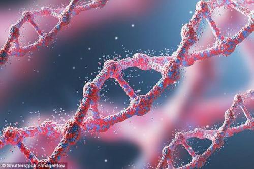 基因突变可能会增加巨细胞病毒感染的风险