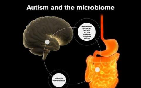 研究为改善粪便微生物群移植提供了线索