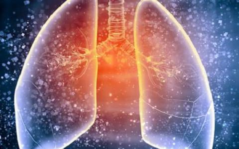 特发性肺纤维化是一种导致肺部瘢痕形成的肺部疾病