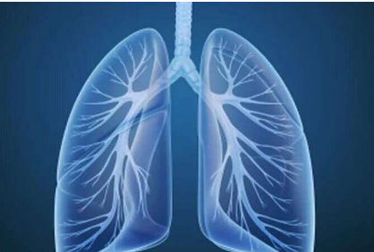 在IBD中发展为特发性肺纤维化的风险