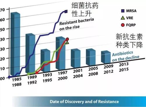 首次在视频中捕获抗生素耐药性的机制