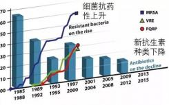 首次在视频中捕获抗生素耐药性的机制