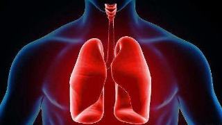免疫细胞洞察力有望解决致命的肺部疾病