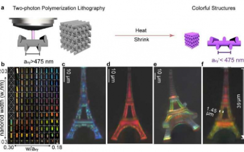 通过收缩光子晶体对3D微尺度物体进行结构彩色打印