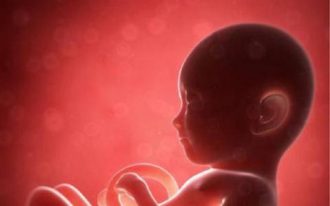 验血可能有助于识别胎儿酒精谱异常