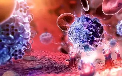 以色列研究人员找到阻止黑色素瘤细胞扩散到大脑的方法