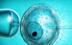日本科学家找到分离精子的简单方法
