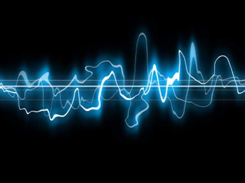 斯坦福大学的研究发现了使用声波导航的物种之间的遗传相似性