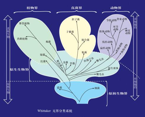 为什么病毒需要重新分类及其对生物技术的影响