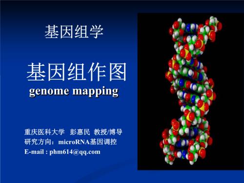 多发性硬化症基因组图谱暗示免疫细胞对疾病的敏感性