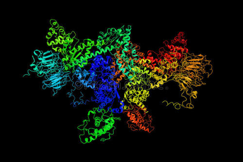 蛋白质超复合物在细菌膜上产生电压