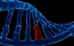 中国研究人员发现降低胆固醇水平的基因变异