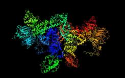 蛋白质超复合物在细菌膜上产生电压