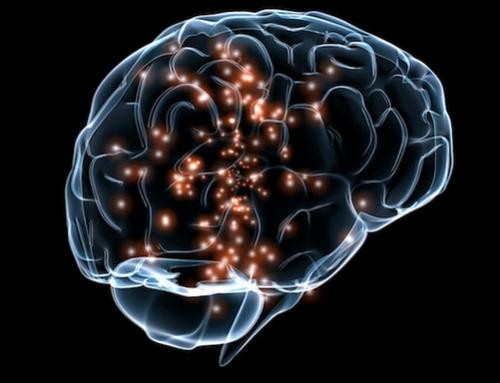 科学家发现精神分裂症的高风险基因